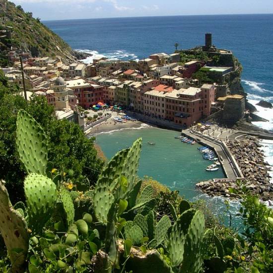 Hiking And Wine In Cinque Terre with Private Transportation (Roundtrip)