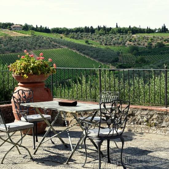 Elegant Pic Nic Set Up In The Vineyards - WHITE MOOD