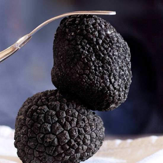 The Black Truffle Trail with Trufflehunting: From Forest to Feast