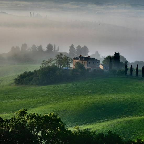 Pienza, Montalcino and Brunello Vines: A Premium Journey through Val d'Orcia