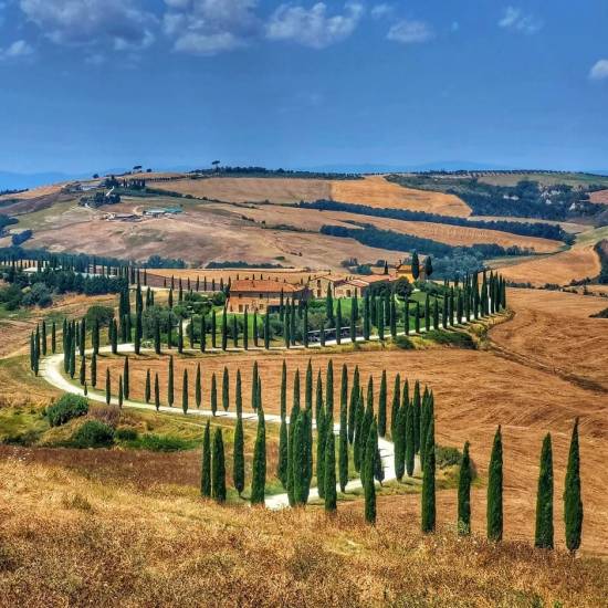 A Taste of Val d'Orcia: Pienza, Montepulciano and Wine Experience