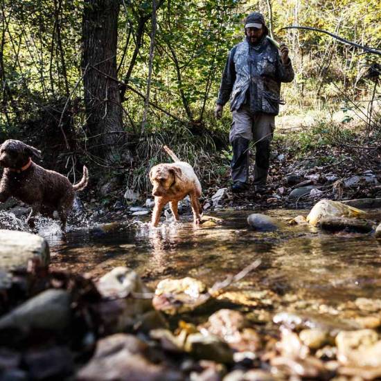 Black Truffle Hunting with Lunch: Discover Nature’s Hidden Treasure