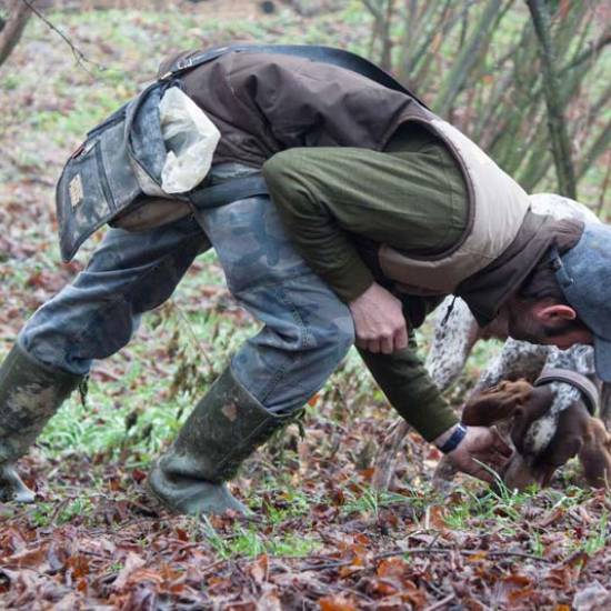 Black Truffle Hunting: Exploring the Secrets of Nature’s Hidden Treasure