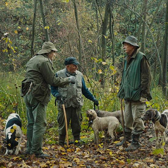 Private White Truffle Hunting: Unveiling the Secrets of Nature's Hidden Treasure with a Tasting Experience