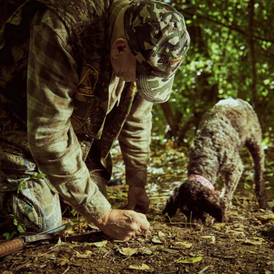 Truffle Hunting With Lunch