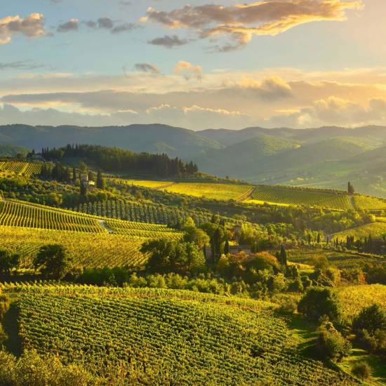 Chianti Unveiled: From Iconic Estates to Hidden Treasures