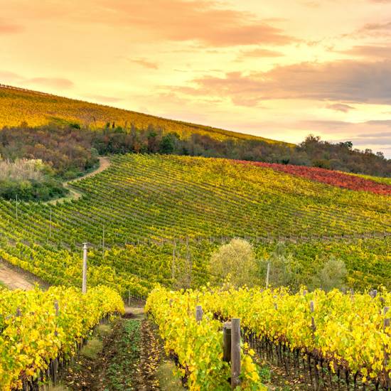 Chianti Unveiled: A Tapestry of Time and Tradition