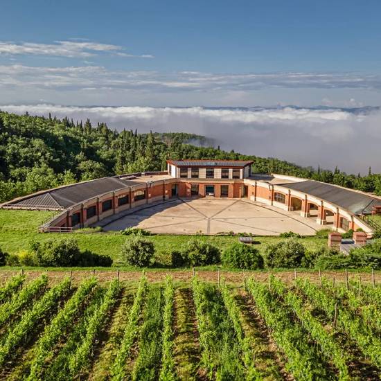 Castello Di Fonterutoli Chianti Classico Immersion with dinner