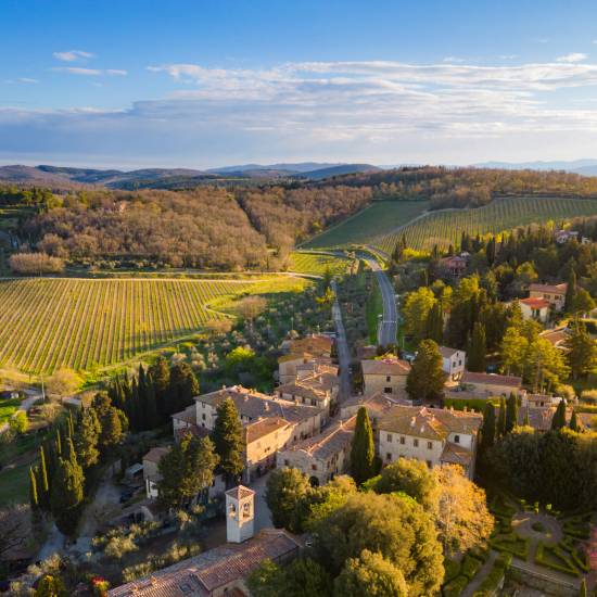 Castello Di Fonterutoli Chianti Classico Immersion with lunch