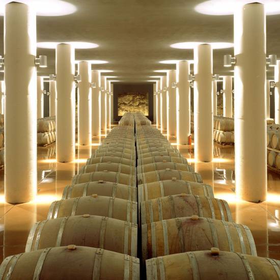 Castello Di Fonterutoli From Cellar to Table - A Complete Wine Estate Experience
