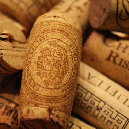 Chianti Essence: A Voyage Through Tuscan Terroir