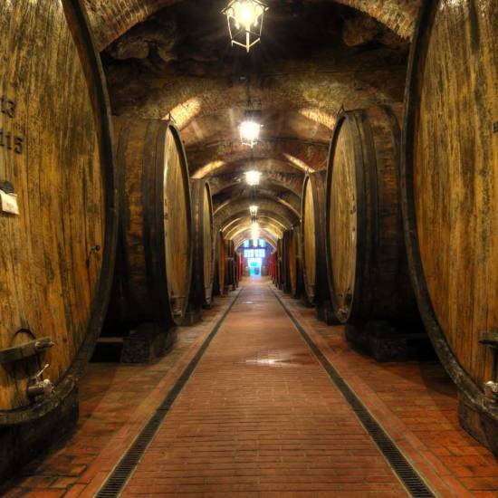 Talosa Grand Tasting Experience with Lunch