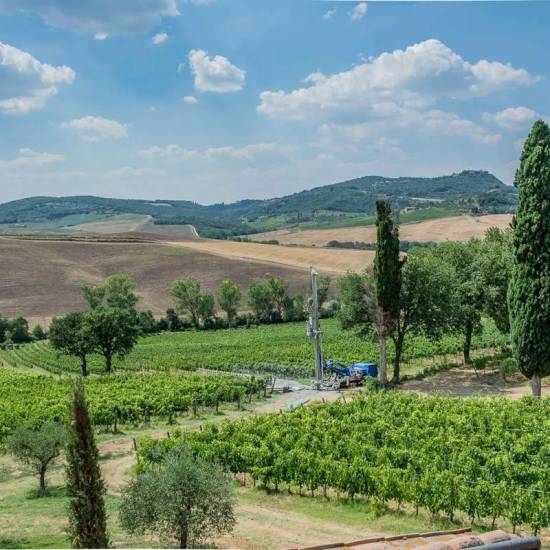 Talosa Classic Nobile Discovery