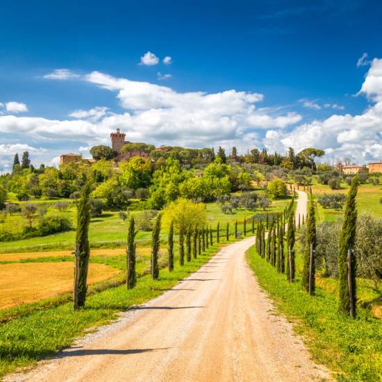 Pienza, Montalcino and Brunello Vines: A Luxury Journey through Val d'Orcia