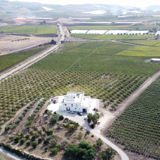 Tenute Camilleri Wine Experience: A Journey Through Sicilian Flavors