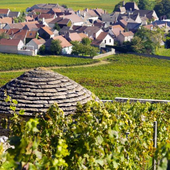 Côte De Nuits Half Day Wine Tour  - Private