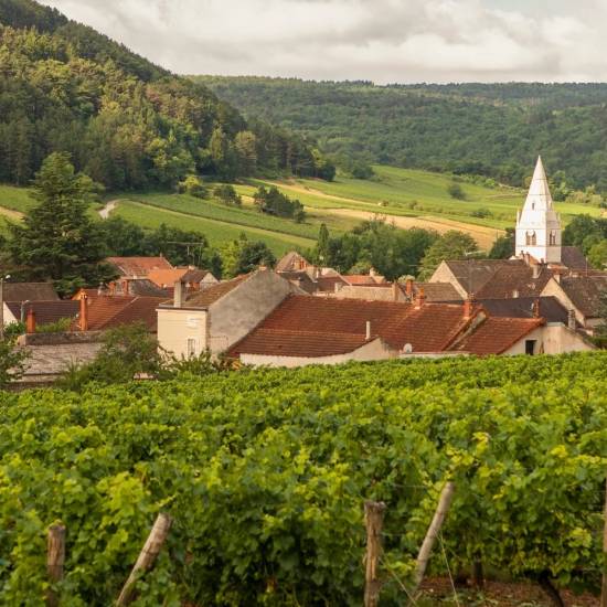 Côte De Beaune Half Day Wine Tour - Private