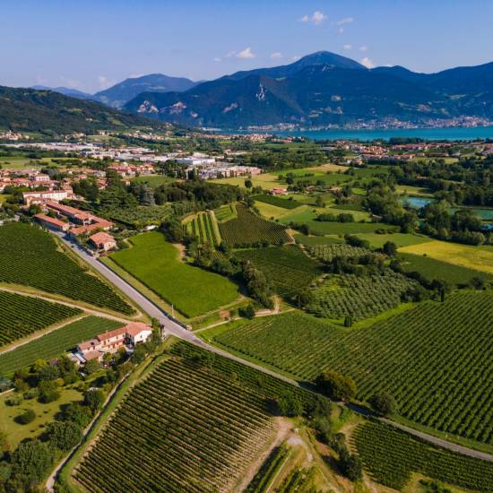 Wines of Franciacorta