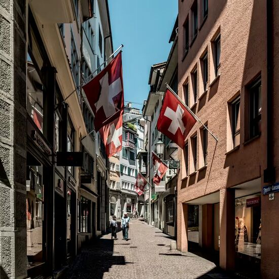 Zurich, Schaffhausen and Rhine Falls Full-day Private Guided Tour