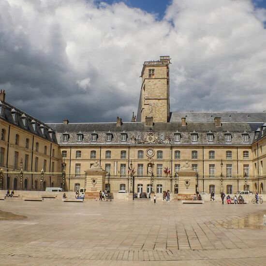 The Dukes of Burgundy and their Palace: Half Day Dijon Walking Tour