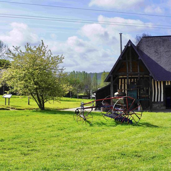 Normandy Flavors: Cheese, Cider and Calvados in a full-day tour