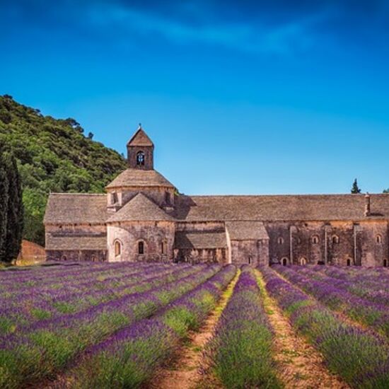Senanque Abbey Private Guided Tour
