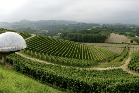 Ceretto Winery & The Barolo Brothers