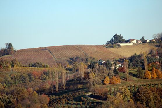 Langhe