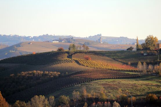 Langhe