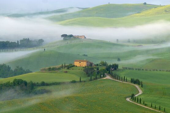 Food & Wine Tours
