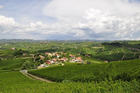 Alta Langa