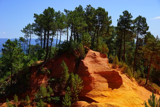 Luberon Village Tour