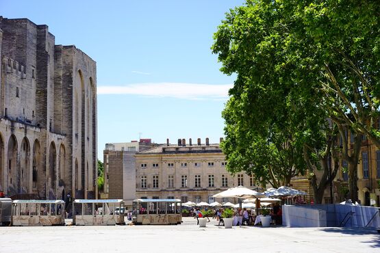 Avignon & Chateauneuf du Pape Wine Tour - Shore Excursion