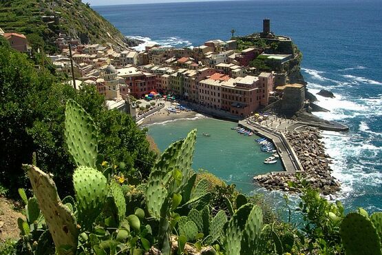 Hiking And Wine In Cinque Terre with Private Transportation (Roundtrip)