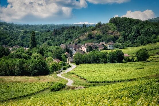 A Morning In Medoc Region