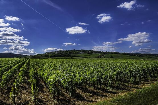 Beaune Tour