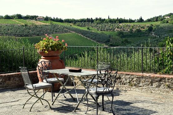 Elegant Pic Nic Set Up In The Vineyards - WHITE MOOD
