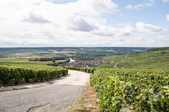 Epernay & Family Growers