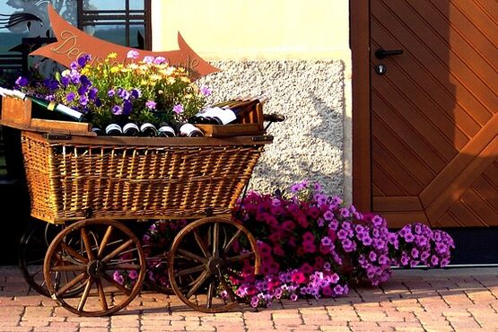 Morning Alsace Wine Tour