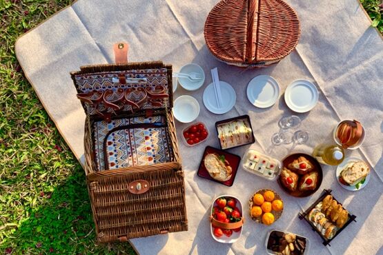 Private Harvest Adventure: Farm Tour, Vegetable Garden Workshop, and Garden Picnic