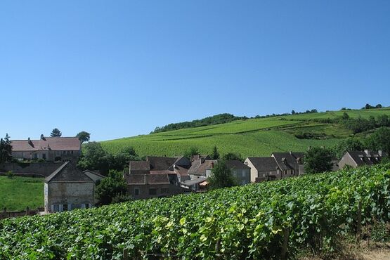 Discover Burgundy