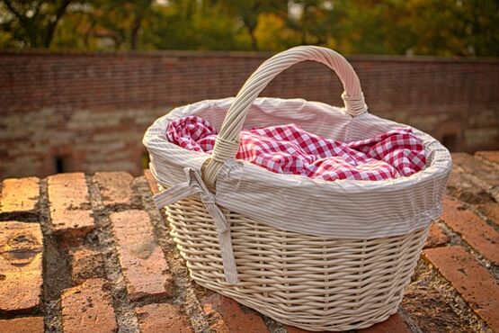 Elegant Pic Nic Set Up In The Vineyards - SPARKLE RETREAT