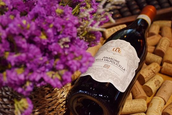 Amarone Wine Tasting Tour