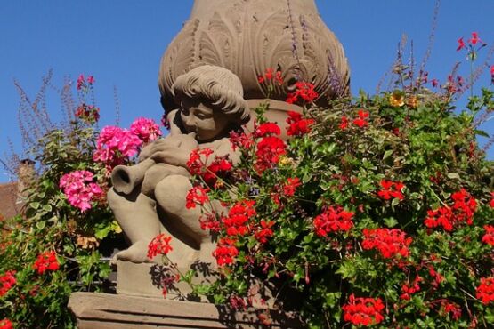Medieval Charm & Mountain Views: Private Tour to Obernai & Mont Saint Odile