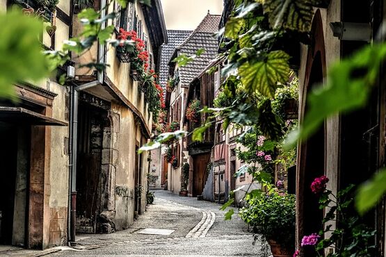 Alsace Private Day Tour: Colmar, Riquewihr & Haut-Koenigsbourg Castle