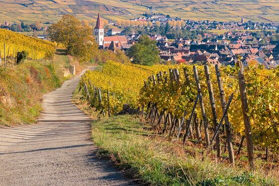Alsace Villages & Wine Private Tour