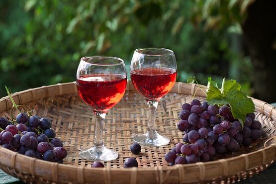Wine Tasting, Vineyard Visit and Grape Drying Centre
