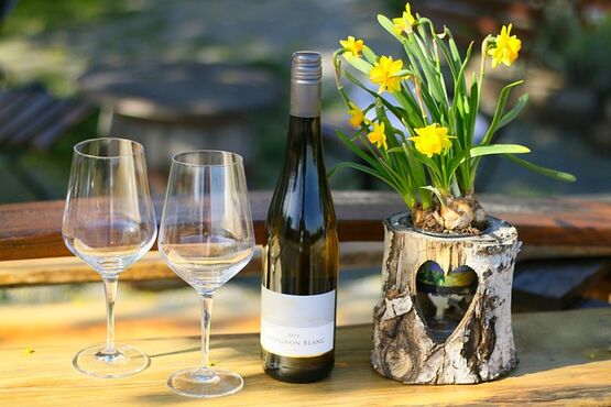 Wine Tasting