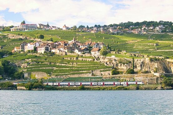 Cheese, Chocolate And Wine Tour
