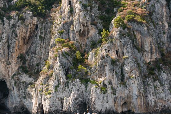 Capri Private Cruise - Raffaelli Shamal 40